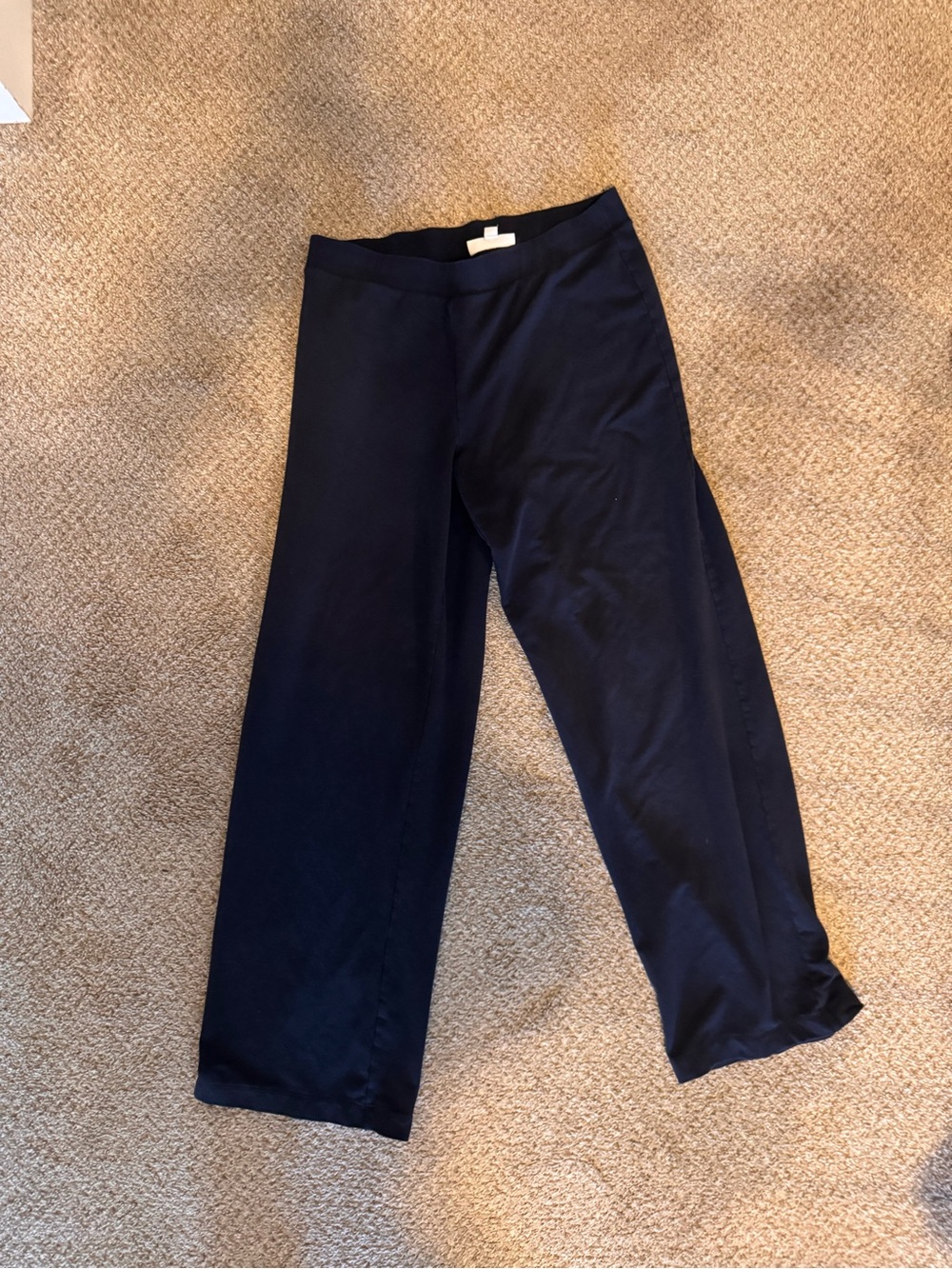 Pure Jill J.Jill Affinity French Terry Pants Navy Size M Pull-On